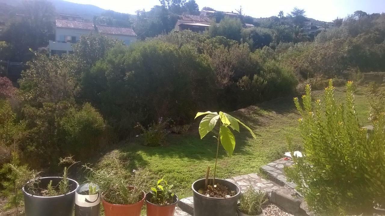 Studio In Porticcio Porticcio (Corsica) Exterior foto