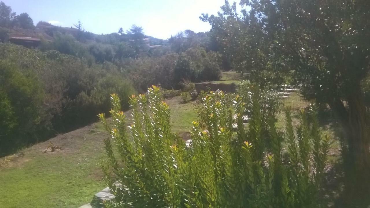 Studio In Porticcio Porticcio (Corsica) Exterior foto